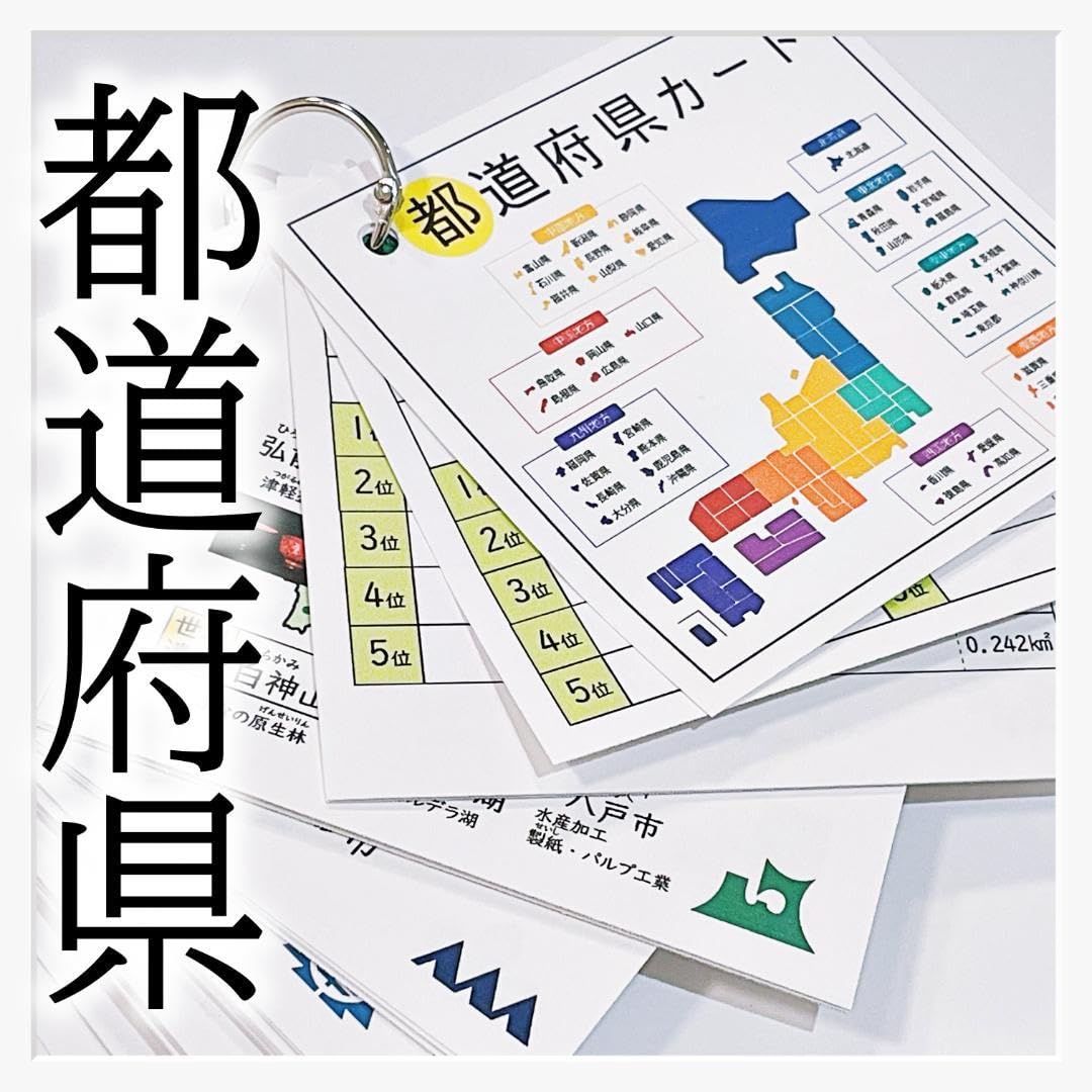 極める中学受験 社会(地理/地域別)暗記カード サピックス 予習シリーズ